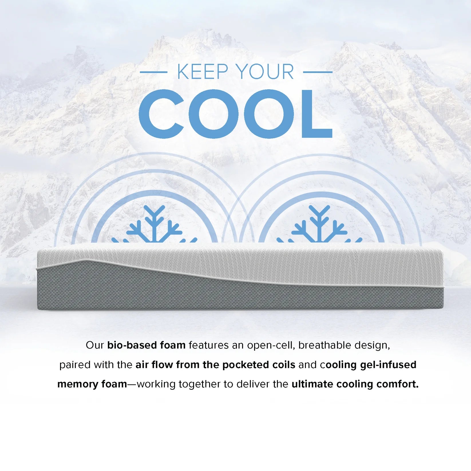12” EcoCore Hybrid Deluxe - Medium Plush