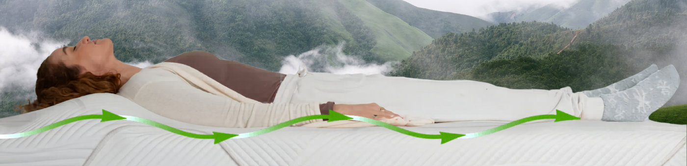 The Wellness Collection